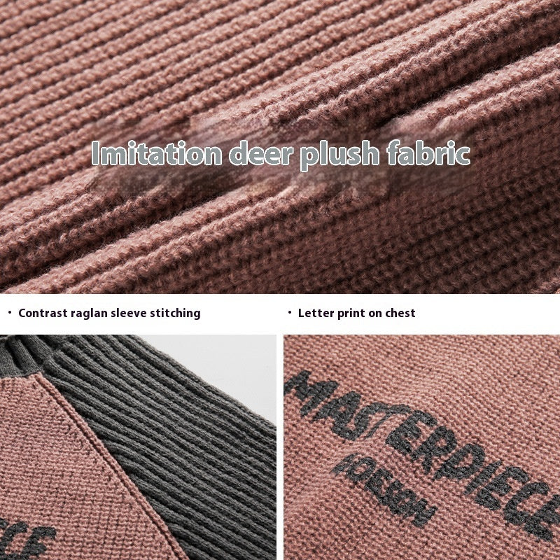 Raglan Sleeve Color Contrast Patchwork Design Sweater